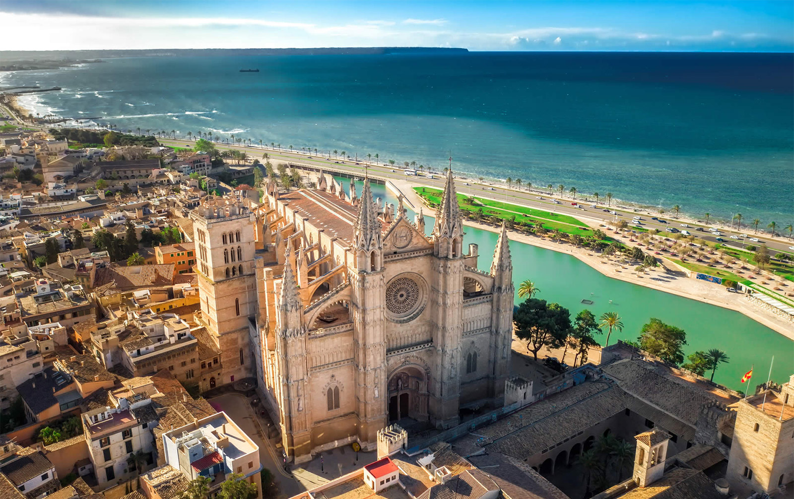 Palma the M